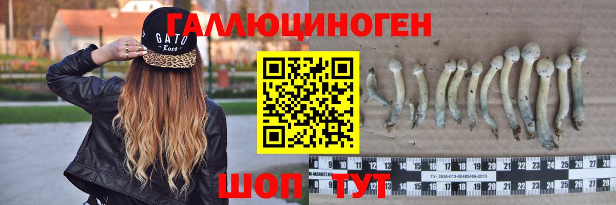 Белореченск  даркнет сайт  Вход с VPN  Галлюциногенные грибы ЛСД 